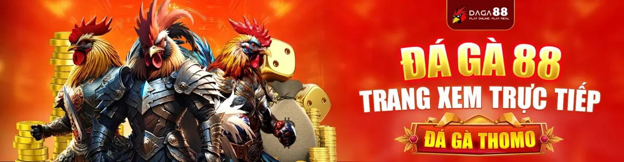 Hình ảnh chính Đá Gà Trực Tiếp tại kc99 link vào
