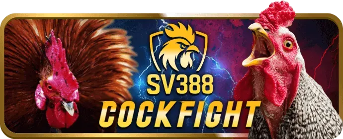 Vòng quay miễn phí cho slot game tại kc99